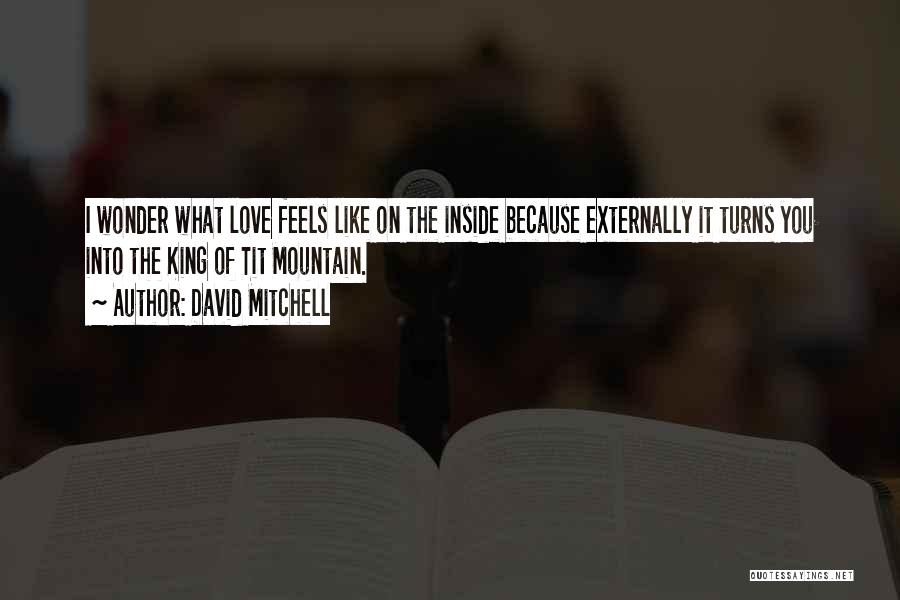 David Mitchell Quotes: I Wonder What Love Feels Like On The Inside Because Externally It Turns You Into The King Of Tit Mountain.