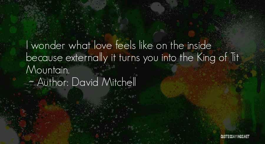 David Mitchell Quotes: I Wonder What Love Feels Like On The Inside Because Externally It Turns You Into The King Of Tit Mountain.