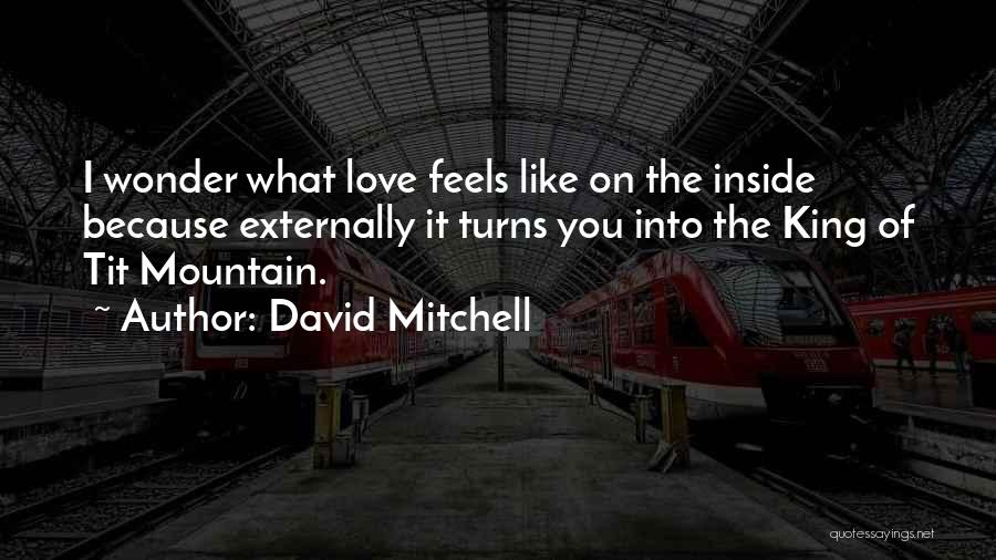 David Mitchell Quotes: I Wonder What Love Feels Like On The Inside Because Externally It Turns You Into The King Of Tit Mountain.