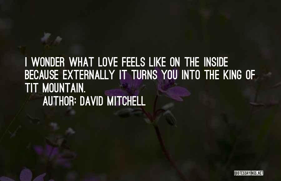 David Mitchell Quotes: I Wonder What Love Feels Like On The Inside Because Externally It Turns You Into The King Of Tit Mountain.