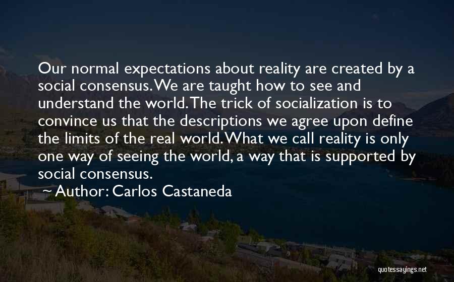 Carlos Castaneda Quotes: Our Normal Expectations About Reality Are Created By A Social Consensus. We Are Taught How To See And Understand The