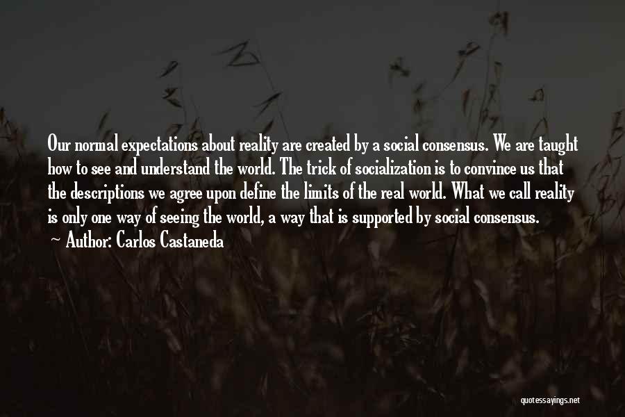 Carlos Castaneda Quotes: Our Normal Expectations About Reality Are Created By A Social Consensus. We Are Taught How To See And Understand The