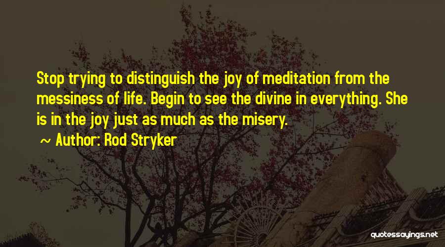 Rod Stryker Quotes: Stop Trying To Distinguish The Joy Of Meditation From The Messiness Of Life. Begin To See The Divine In Everything.