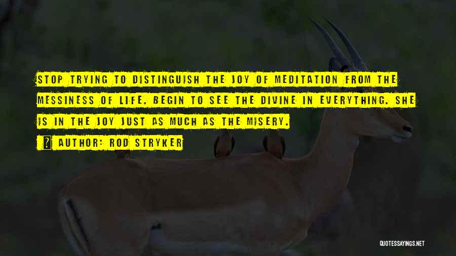 Rod Stryker Quotes: Stop Trying To Distinguish The Joy Of Meditation From The Messiness Of Life. Begin To See The Divine In Everything.