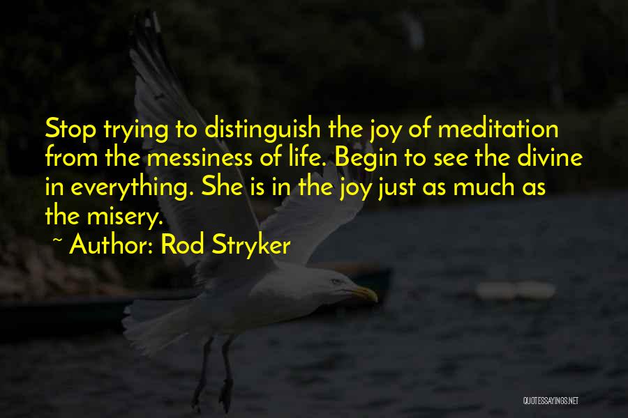 Rod Stryker Quotes: Stop Trying To Distinguish The Joy Of Meditation From The Messiness Of Life. Begin To See The Divine In Everything.