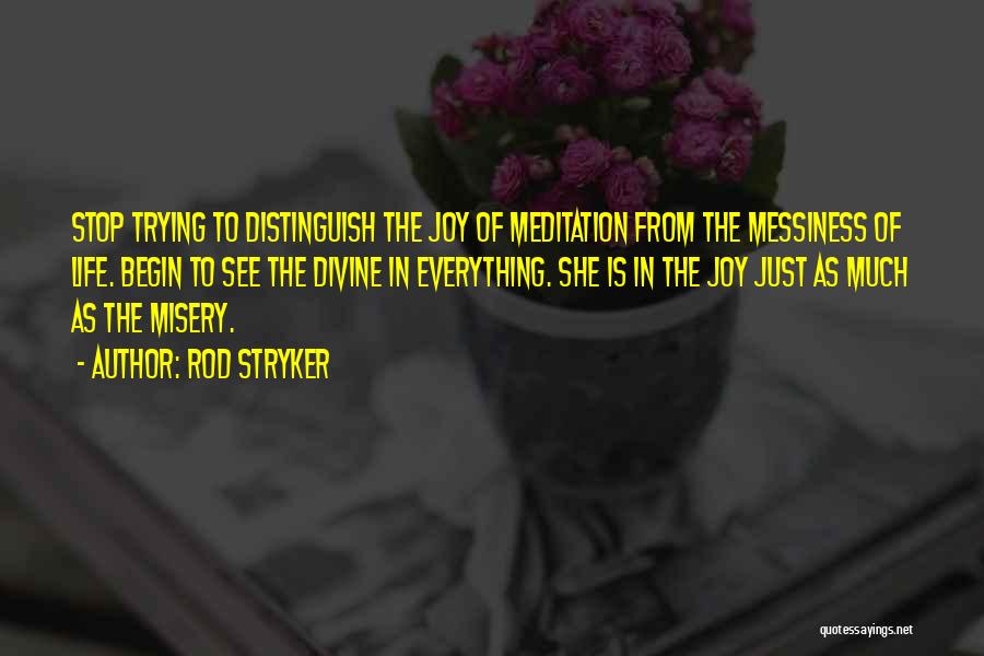 Rod Stryker Quotes: Stop Trying To Distinguish The Joy Of Meditation From The Messiness Of Life. Begin To See The Divine In Everything.