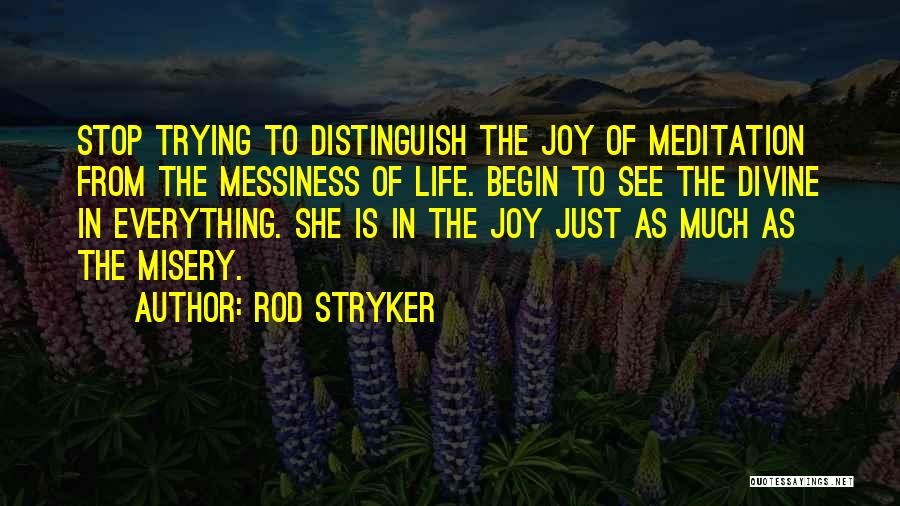 Rod Stryker Quotes: Stop Trying To Distinguish The Joy Of Meditation From The Messiness Of Life. Begin To See The Divine In Everything.