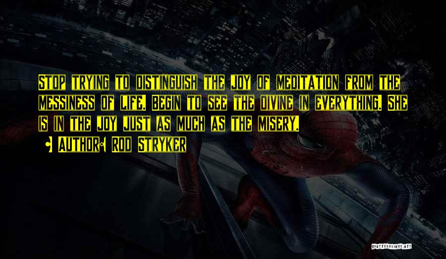 Rod Stryker Quotes: Stop Trying To Distinguish The Joy Of Meditation From The Messiness Of Life. Begin To See The Divine In Everything.