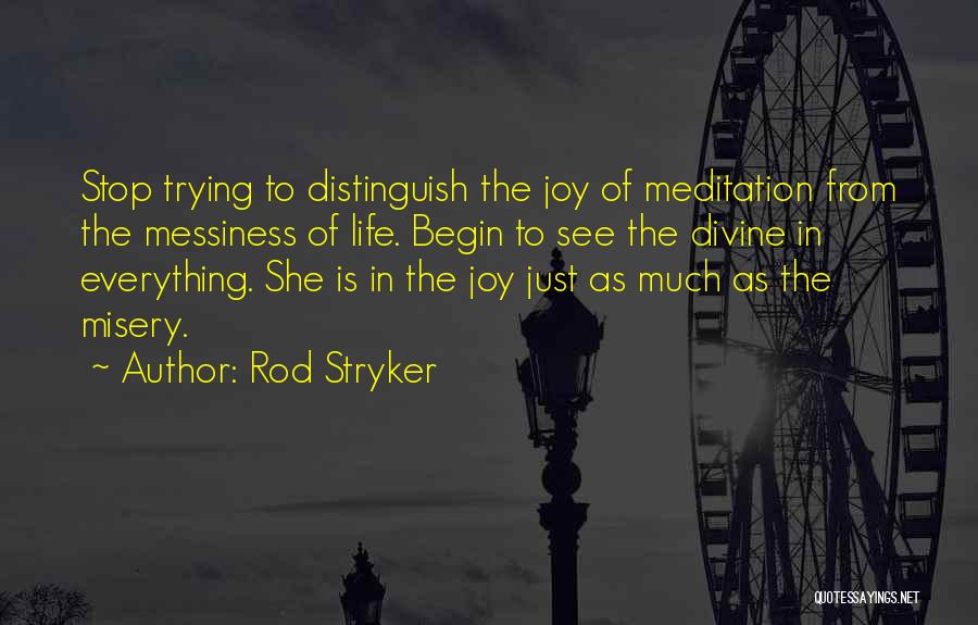 Rod Stryker Quotes: Stop Trying To Distinguish The Joy Of Meditation From The Messiness Of Life. Begin To See The Divine In Everything.