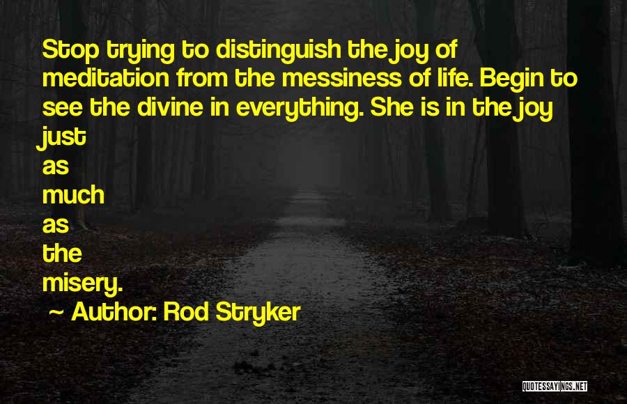 Rod Stryker Quotes: Stop Trying To Distinguish The Joy Of Meditation From The Messiness Of Life. Begin To See The Divine In Everything.