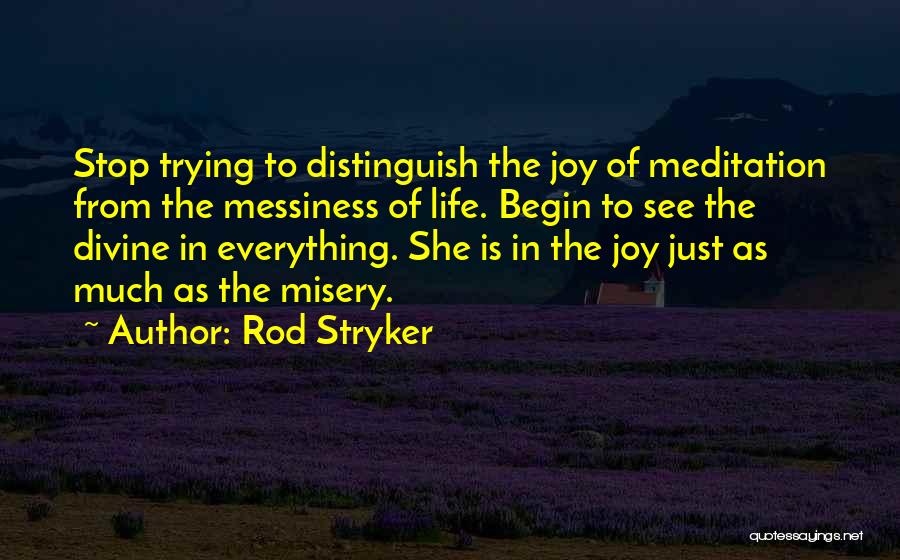 Rod Stryker Quotes: Stop Trying To Distinguish The Joy Of Meditation From The Messiness Of Life. Begin To See The Divine In Everything.