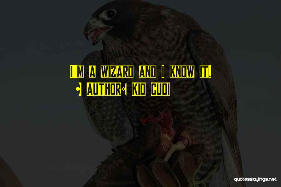 Kid Cudi Quotes: I'm A Wizard And I Know It.