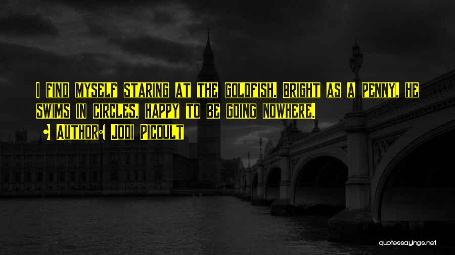 Jodi Picoult Quotes: I Find Myself Staring At The Goldfish. Bright As A Penny, He Swims In Circles, Happy To Be Going Nowhere.