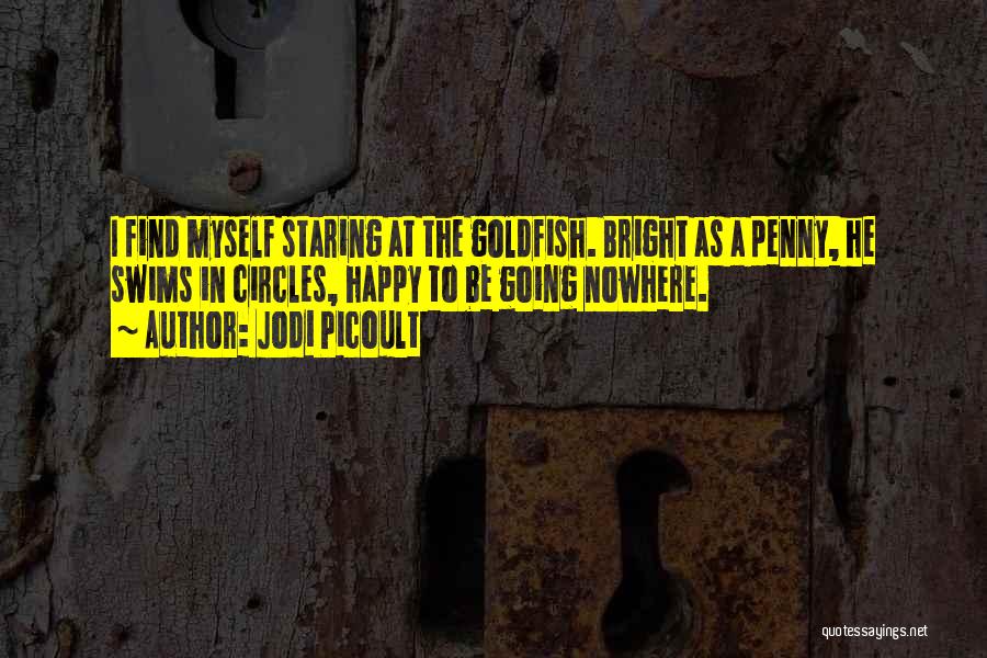 Jodi Picoult Quotes: I Find Myself Staring At The Goldfish. Bright As A Penny, He Swims In Circles, Happy To Be Going Nowhere.
