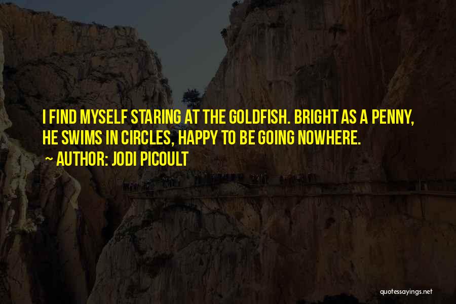 Jodi Picoult Quotes: I Find Myself Staring At The Goldfish. Bright As A Penny, He Swims In Circles, Happy To Be Going Nowhere.