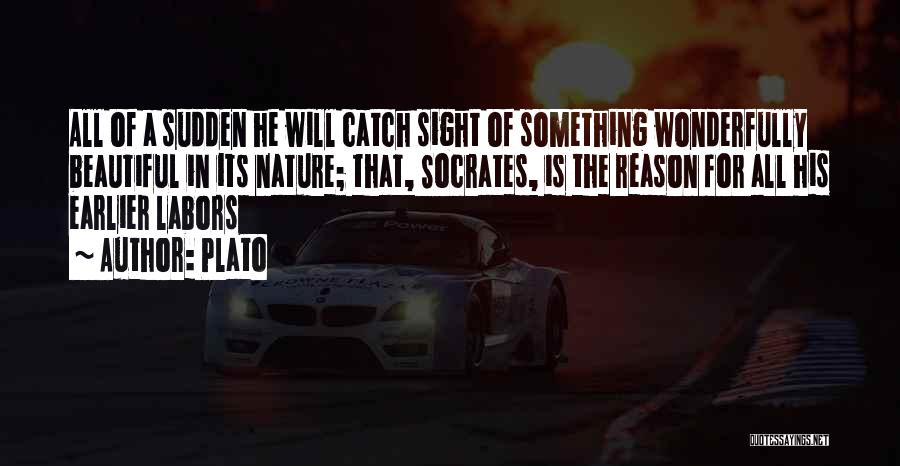 Plato Quotes: All Of A Sudden He Will Catch Sight Of Something Wonderfully Beautiful In Its Nature; That, Socrates, Is The Reason