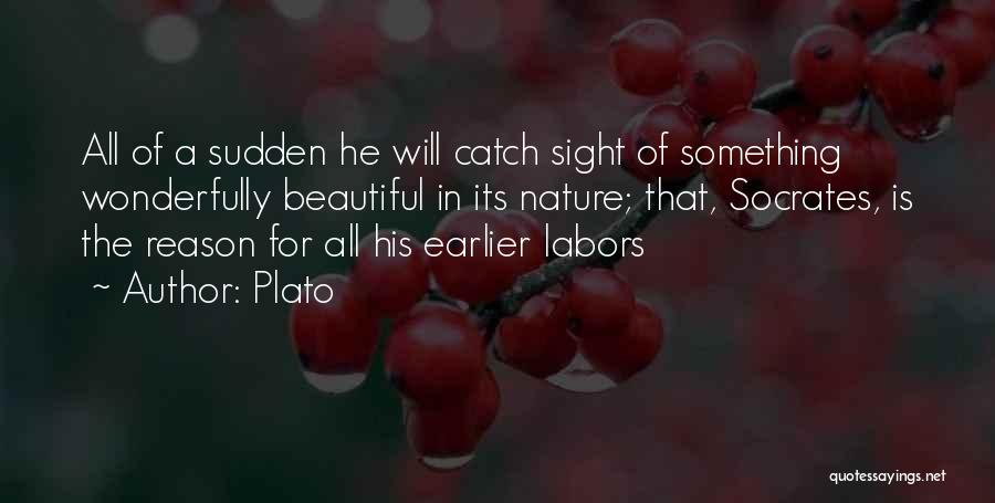 Plato Quotes: All Of A Sudden He Will Catch Sight Of Something Wonderfully Beautiful In Its Nature; That, Socrates, Is The Reason