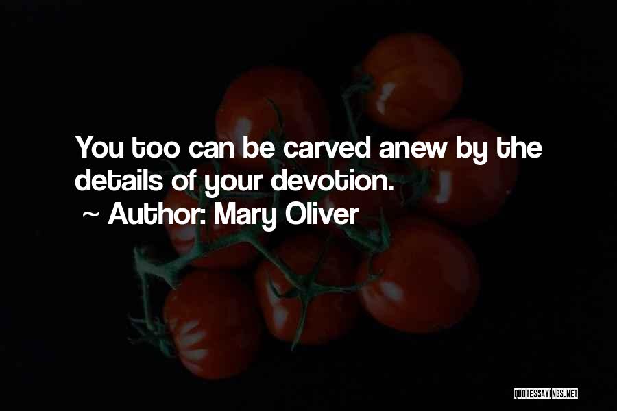 Mary Oliver Quotes: You Too Can Be Carved Anew By The Details Of Your Devotion.
