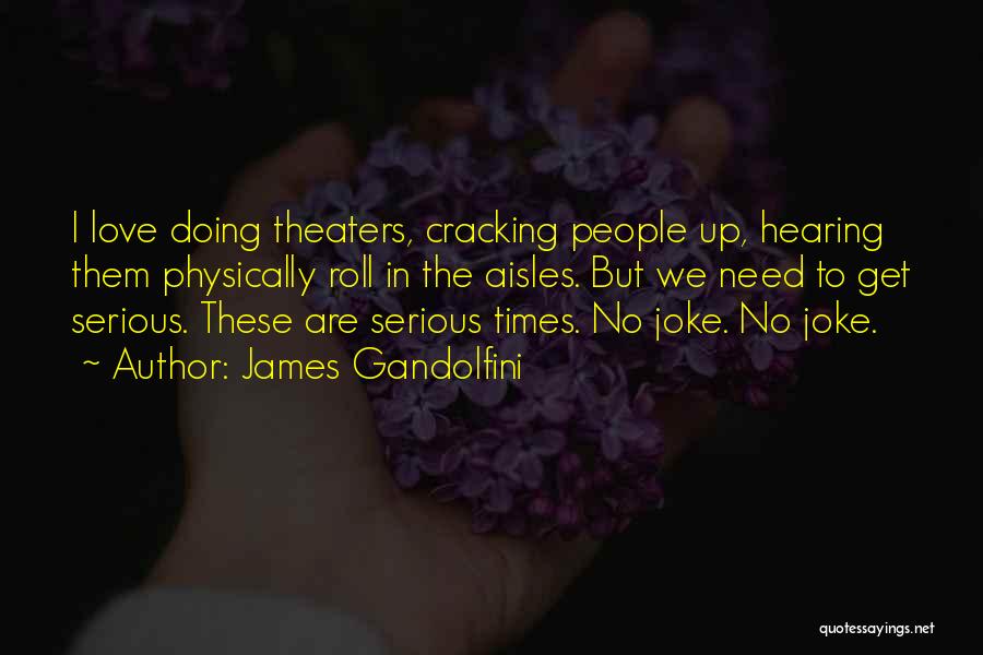 James Gandolfini Quotes: I Love Doing Theaters, Cracking People Up, Hearing Them Physically Roll In The Aisles. But We Need To Get Serious.