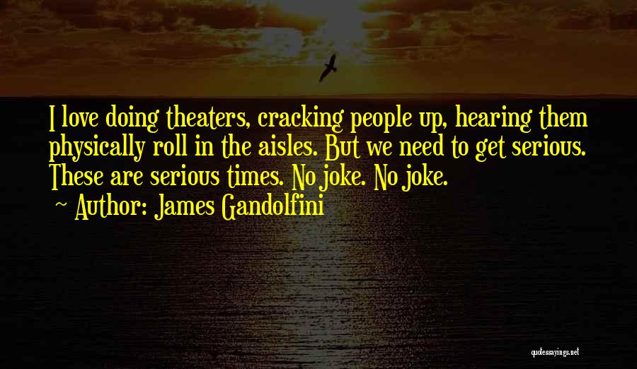 James Gandolfini Quotes: I Love Doing Theaters, Cracking People Up, Hearing Them Physically Roll In The Aisles. But We Need To Get Serious.