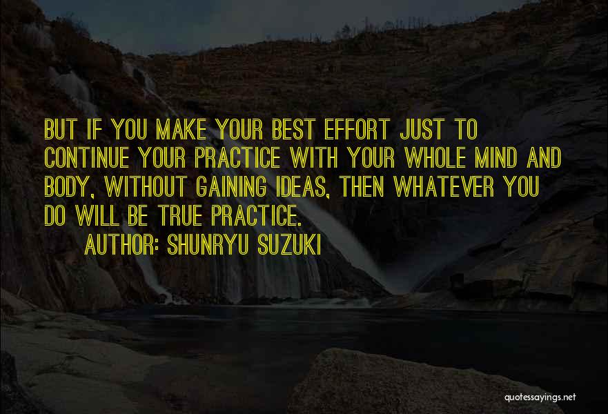 Shunryu Suzuki Quotes: But If You Make Your Best Effort Just To Continue Your Practice With Your Whole Mind And Body, Without Gaining