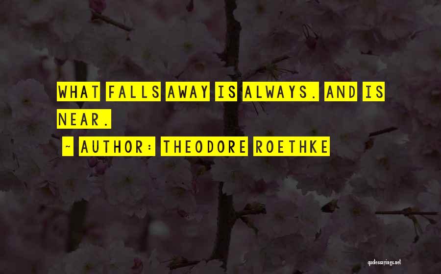 Theodore Roethke Quotes: What Falls Away Is Always. And Is Near.