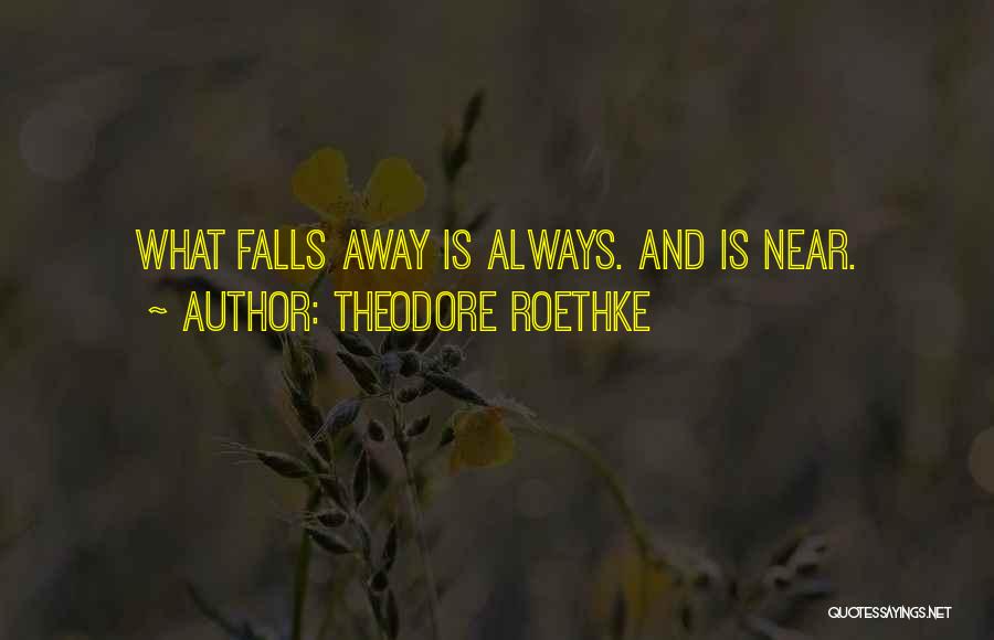 Theodore Roethke Quotes: What Falls Away Is Always. And Is Near.