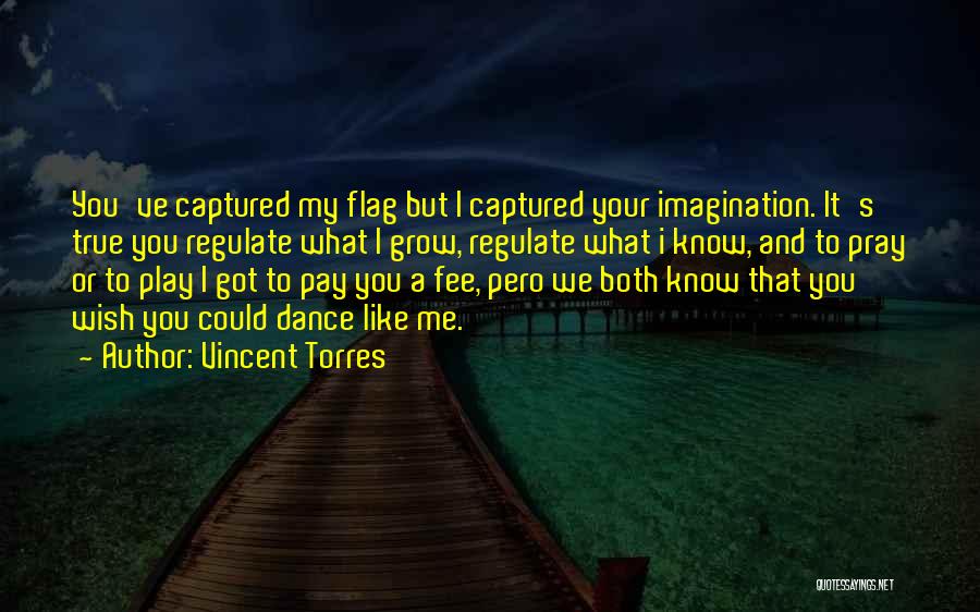 Vincent Torres Quotes: You've Captured My Flag But I Captured Your Imagination. It's True You Regulate What I Grow, Regulate What I Know,
