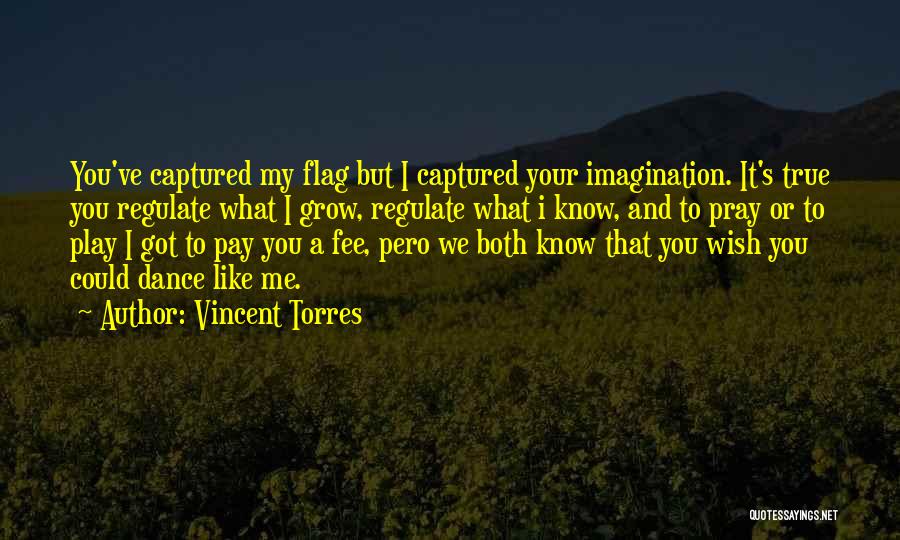 Vincent Torres Quotes: You've Captured My Flag But I Captured Your Imagination. It's True You Regulate What I Grow, Regulate What I Know,