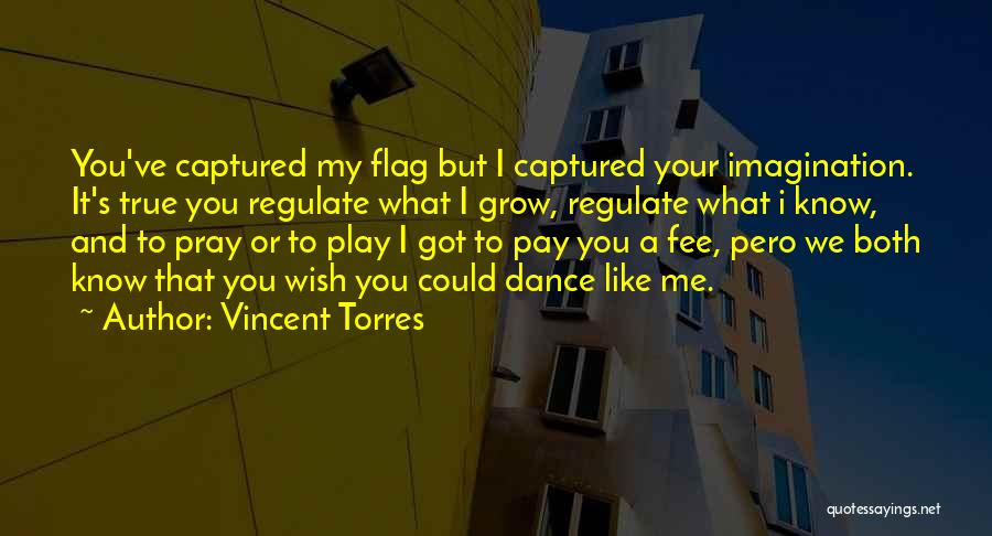 Vincent Torres Quotes: You've Captured My Flag But I Captured Your Imagination. It's True You Regulate What I Grow, Regulate What I Know,