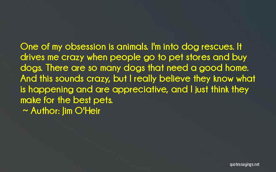 Jim O'Heir Quotes: One Of My Obsession Is Animals. I'm Into Dog Rescues. It Drives Me Crazy When People Go To Pet Stores