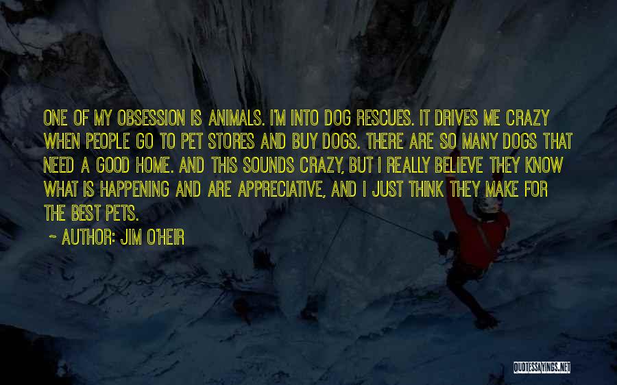 Jim O'Heir Quotes: One Of My Obsession Is Animals. I'm Into Dog Rescues. It Drives Me Crazy When People Go To Pet Stores