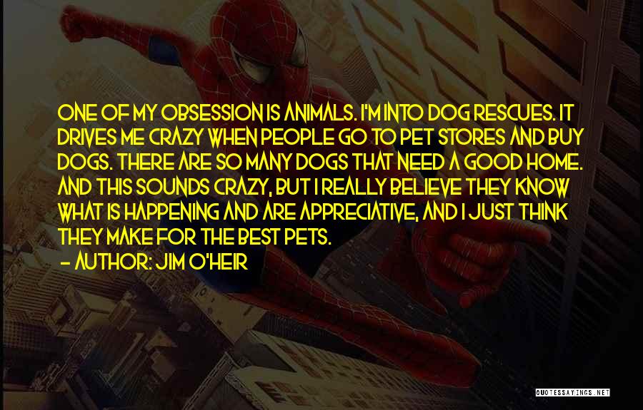 Jim O'Heir Quotes: One Of My Obsession Is Animals. I'm Into Dog Rescues. It Drives Me Crazy When People Go To Pet Stores