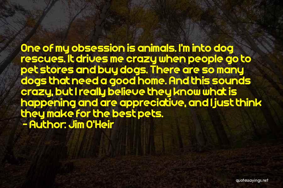 Jim O'Heir Quotes: One Of My Obsession Is Animals. I'm Into Dog Rescues. It Drives Me Crazy When People Go To Pet Stores
