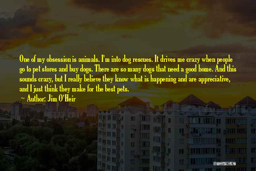 Jim O'Heir Quotes: One Of My Obsession Is Animals. I'm Into Dog Rescues. It Drives Me Crazy When People Go To Pet Stores