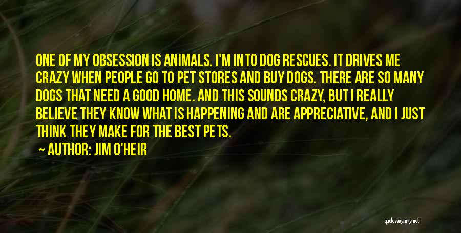 Jim O'Heir Quotes: One Of My Obsession Is Animals. I'm Into Dog Rescues. It Drives Me Crazy When People Go To Pet Stores