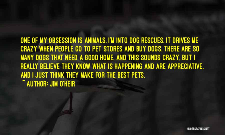 Jim O'Heir Quotes: One Of My Obsession Is Animals. I'm Into Dog Rescues. It Drives Me Crazy When People Go To Pet Stores