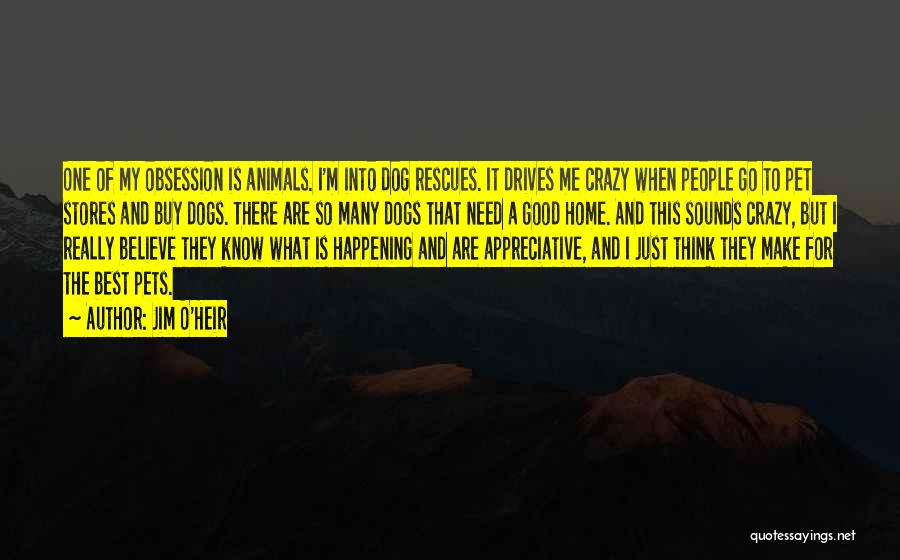 Jim O'Heir Quotes: One Of My Obsession Is Animals. I'm Into Dog Rescues. It Drives Me Crazy When People Go To Pet Stores
