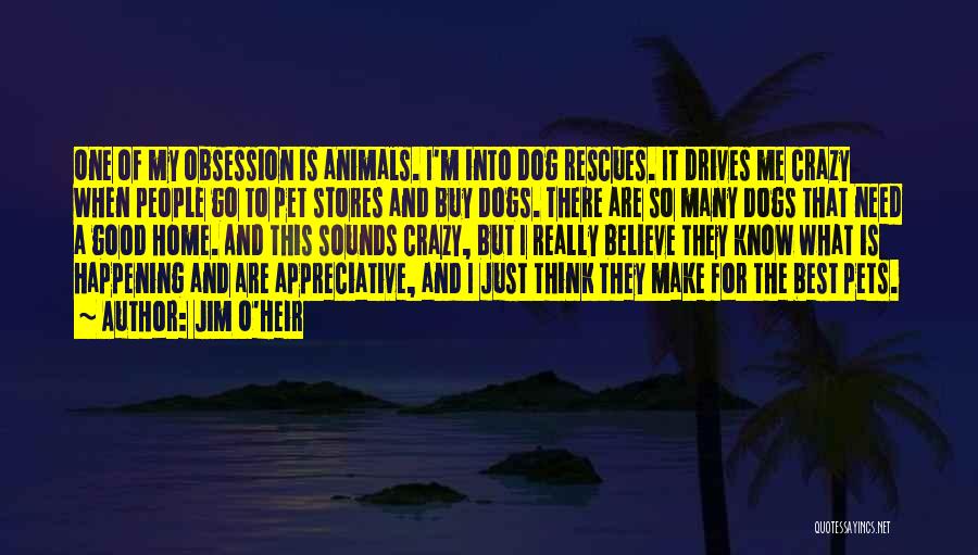 Jim O'Heir Quotes: One Of My Obsession Is Animals. I'm Into Dog Rescues. It Drives Me Crazy When People Go To Pet Stores