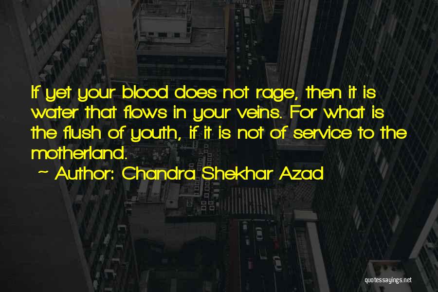 Chandra Shekhar Azad Quotes: If Yet Your Blood Does Not Rage, Then It Is Water That Flows In Your Veins. For What Is The