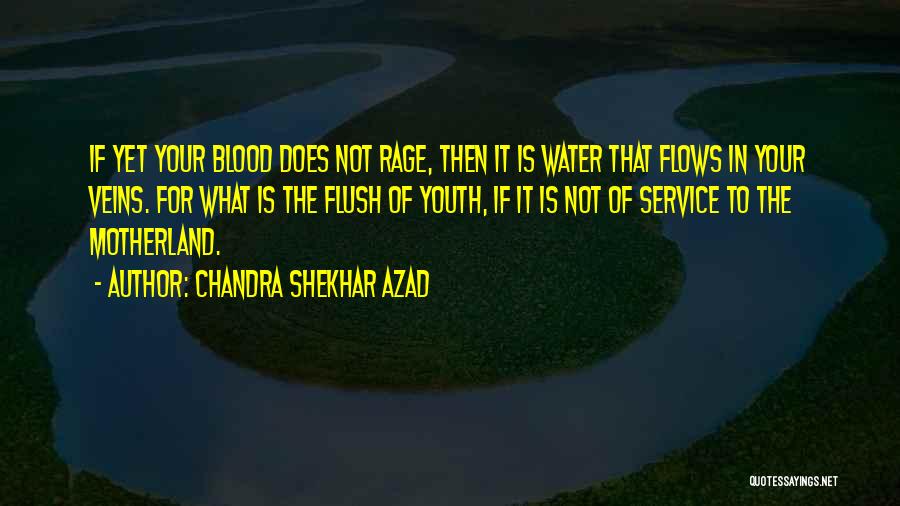 Chandra Shekhar Azad Quotes: If Yet Your Blood Does Not Rage, Then It Is Water That Flows In Your Veins. For What Is The