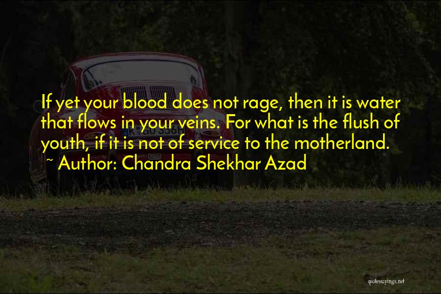 Chandra Shekhar Azad Quotes: If Yet Your Blood Does Not Rage, Then It Is Water That Flows In Your Veins. For What Is The