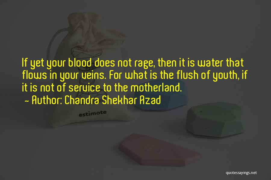 Chandra Shekhar Azad Quotes: If Yet Your Blood Does Not Rage, Then It Is Water That Flows In Your Veins. For What Is The