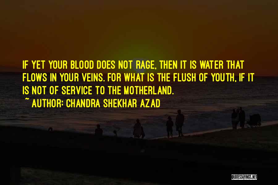 Chandra Shekhar Azad Quotes: If Yet Your Blood Does Not Rage, Then It Is Water That Flows In Your Veins. For What Is The