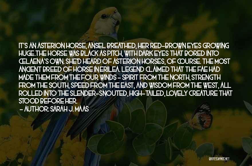 Sarah J. Maas Quotes: It's An Asterion Horse, Ansel Breathed, Her Red-brown Eyes Growing Huge.the Horse Was Black As Pitch, With Dark Eyes That