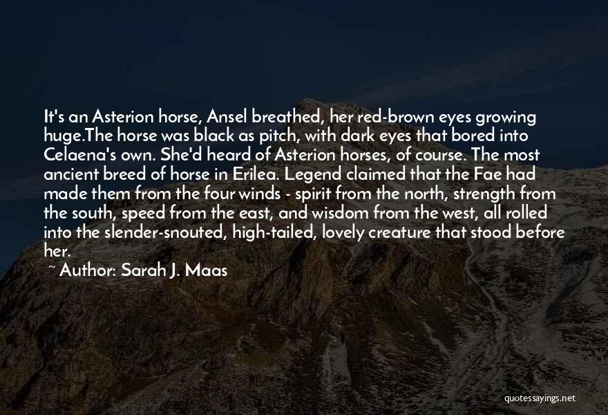 Sarah J. Maas Quotes: It's An Asterion Horse, Ansel Breathed, Her Red-brown Eyes Growing Huge.the Horse Was Black As Pitch, With Dark Eyes That