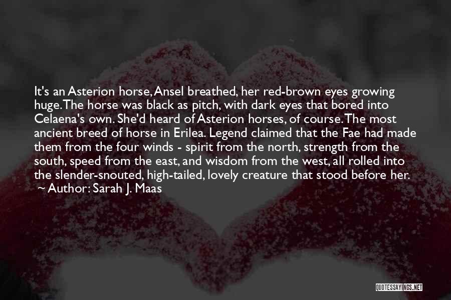 Sarah J. Maas Quotes: It's An Asterion Horse, Ansel Breathed, Her Red-brown Eyes Growing Huge.the Horse Was Black As Pitch, With Dark Eyes That