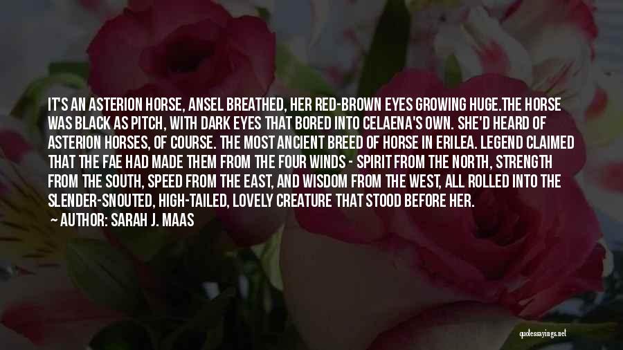 Sarah J. Maas Quotes: It's An Asterion Horse, Ansel Breathed, Her Red-brown Eyes Growing Huge.the Horse Was Black As Pitch, With Dark Eyes That