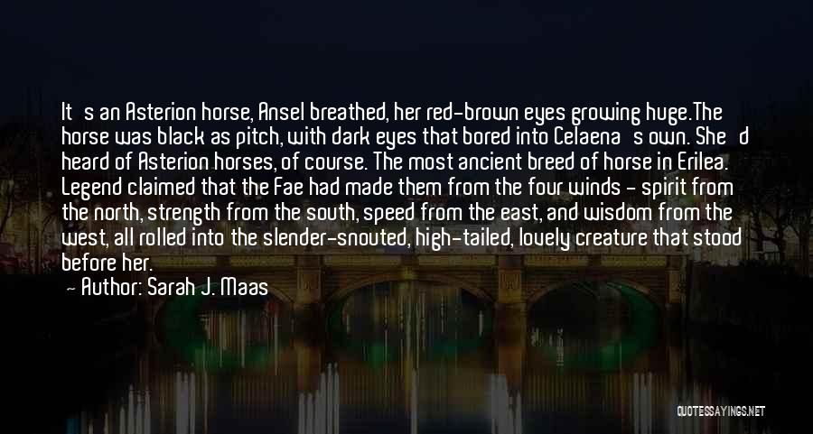 Sarah J. Maas Quotes: It's An Asterion Horse, Ansel Breathed, Her Red-brown Eyes Growing Huge.the Horse Was Black As Pitch, With Dark Eyes That