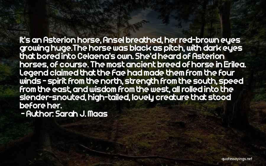 Sarah J. Maas Quotes: It's An Asterion Horse, Ansel Breathed, Her Red-brown Eyes Growing Huge.the Horse Was Black As Pitch, With Dark Eyes That